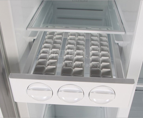 Refrigerator mould