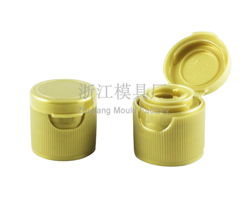 Bottle cap mould